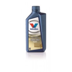 Valvoline multi-vehicle coolant refrigerante CONCENTRATO
